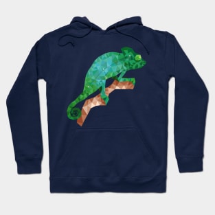 The chameleon constellation Hoodie